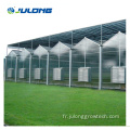 Greenhouse commerciale multi-span Venlo Polycarbonate